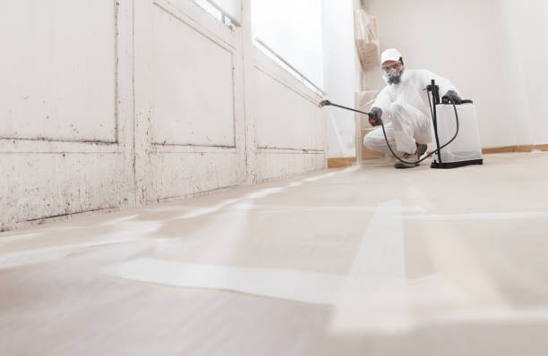 24/7 Emergency Mold Testing experts in Ickesburg, PA